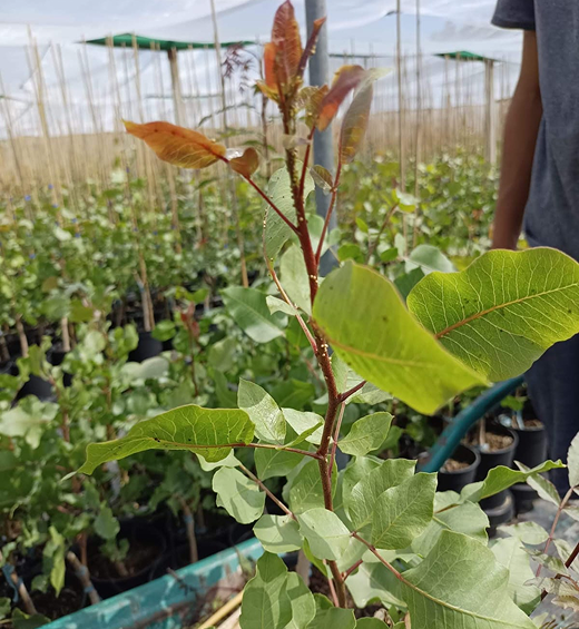 image 1 (5)